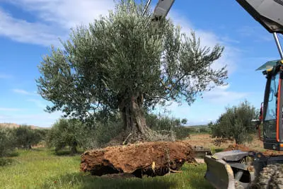 servicios de trabajos agrícolas y forestales en La Rioja, Navarra y País Vasco